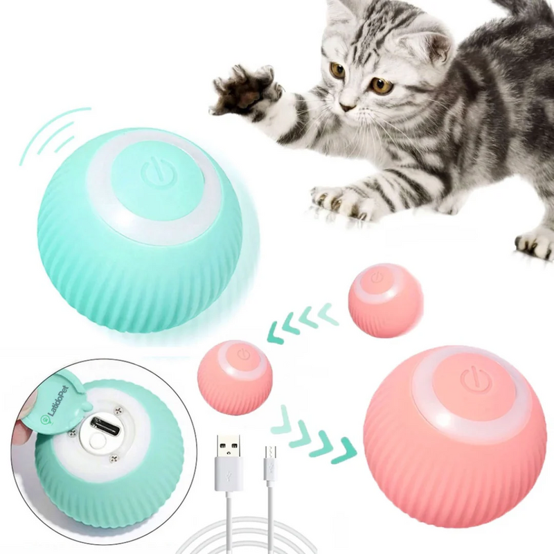 Bola maluca automática para caes e gatos